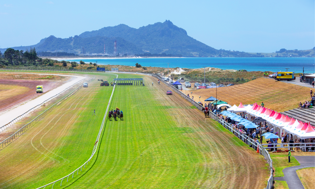 The Races Landing Page_Assets_Photos_3.png