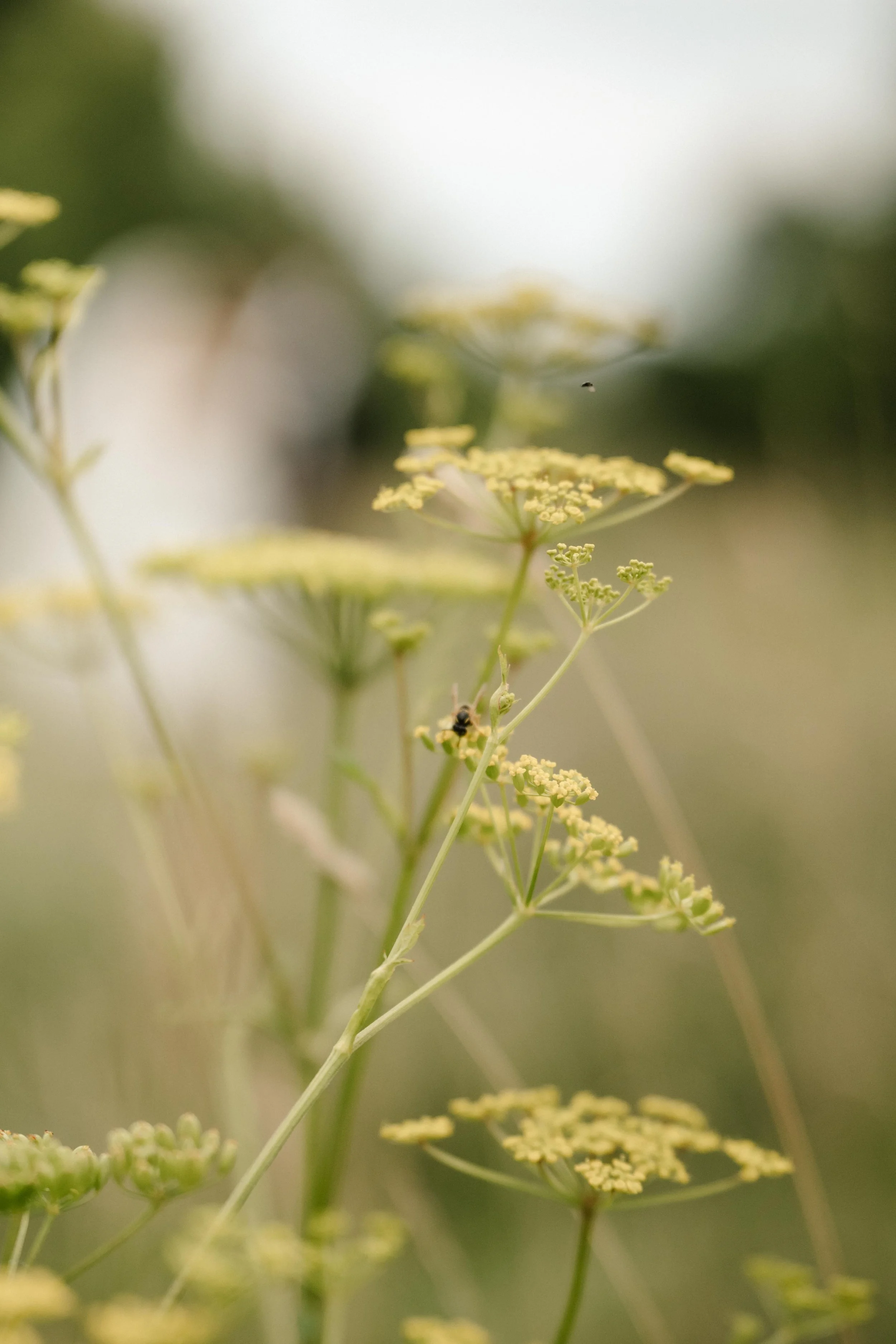 Wedding Photographer Copenhagen -151.jpg