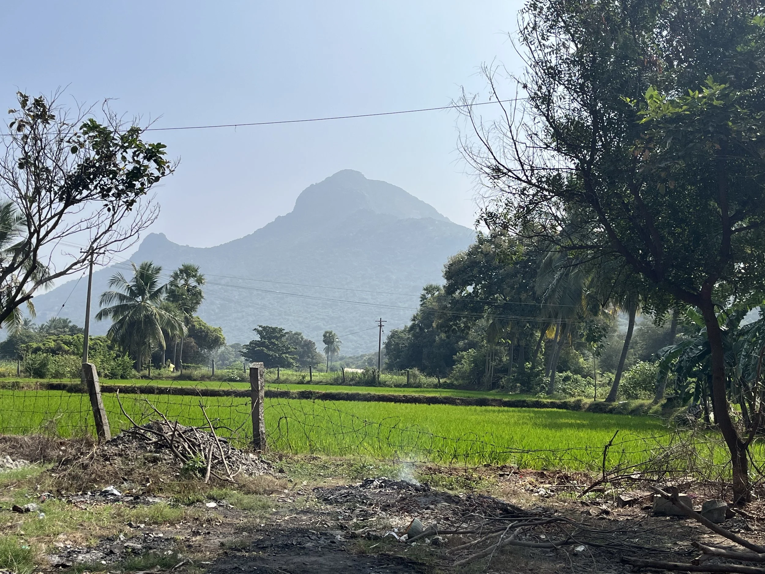 The Mountain That Burned Me Clean