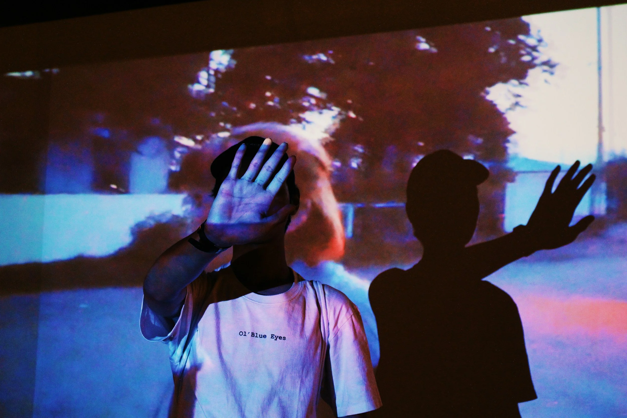 Triangulation and Projection