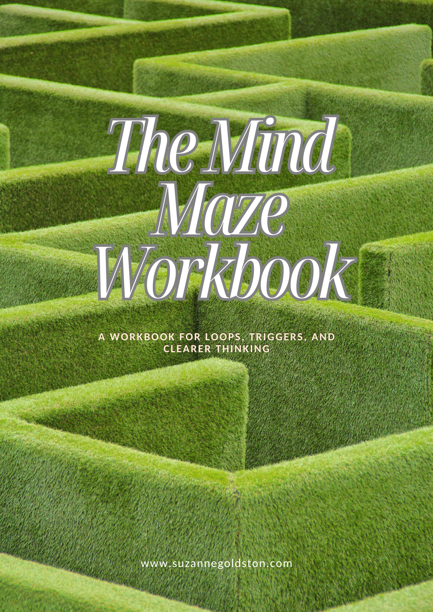 mind maze workbook.png