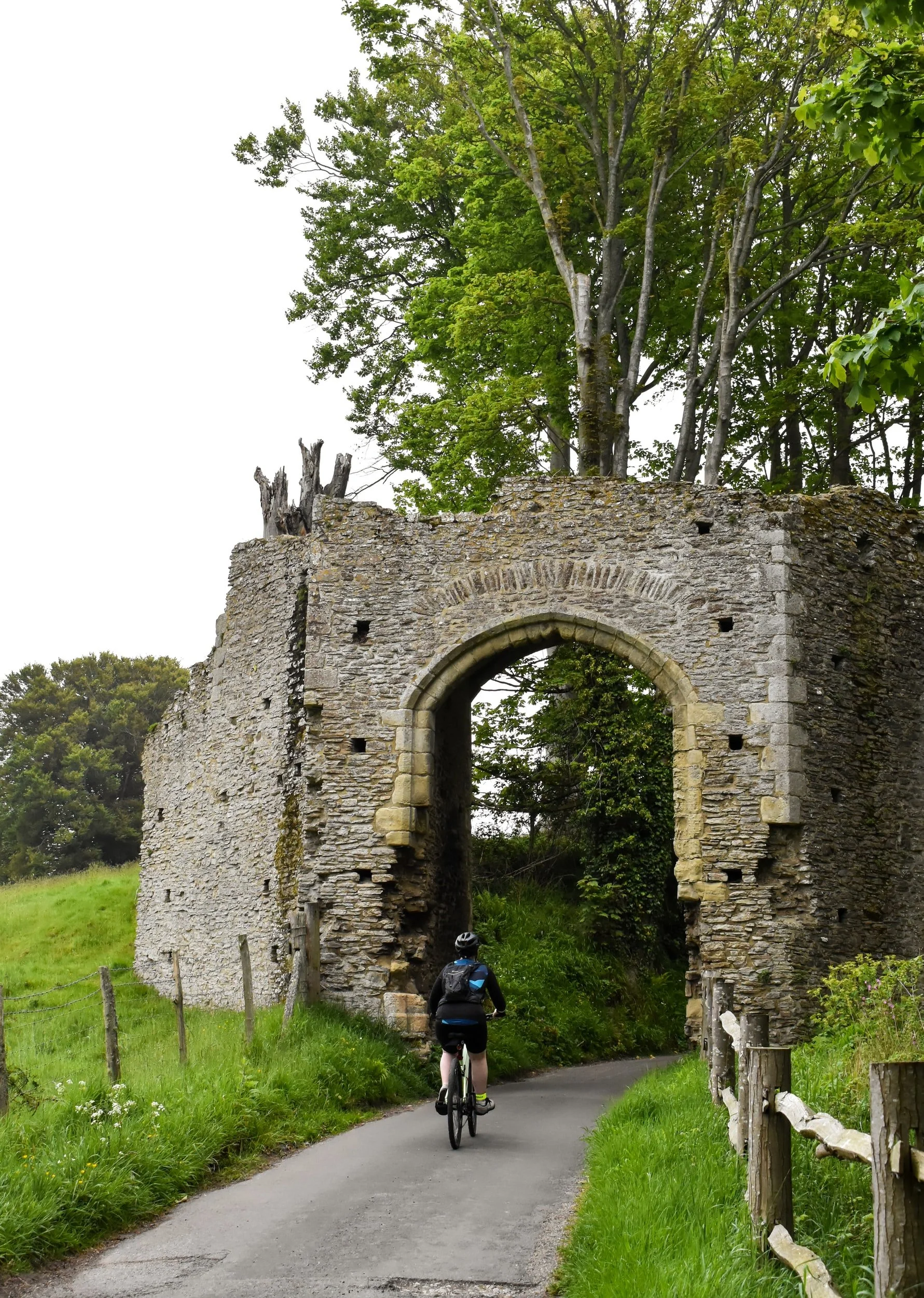 Road cycling near Rye, East Sussex.jpg