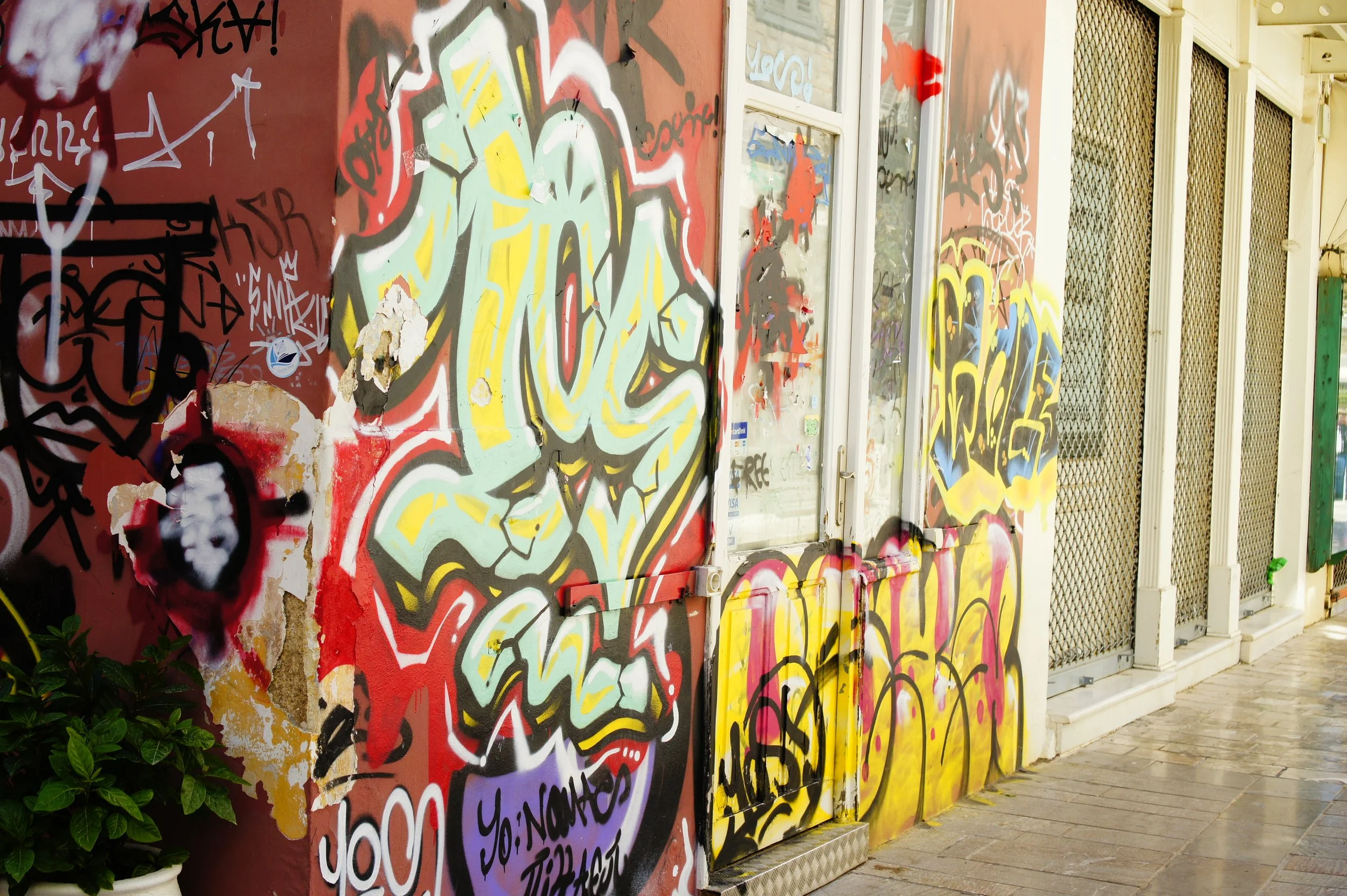 _DSC3694.JPG