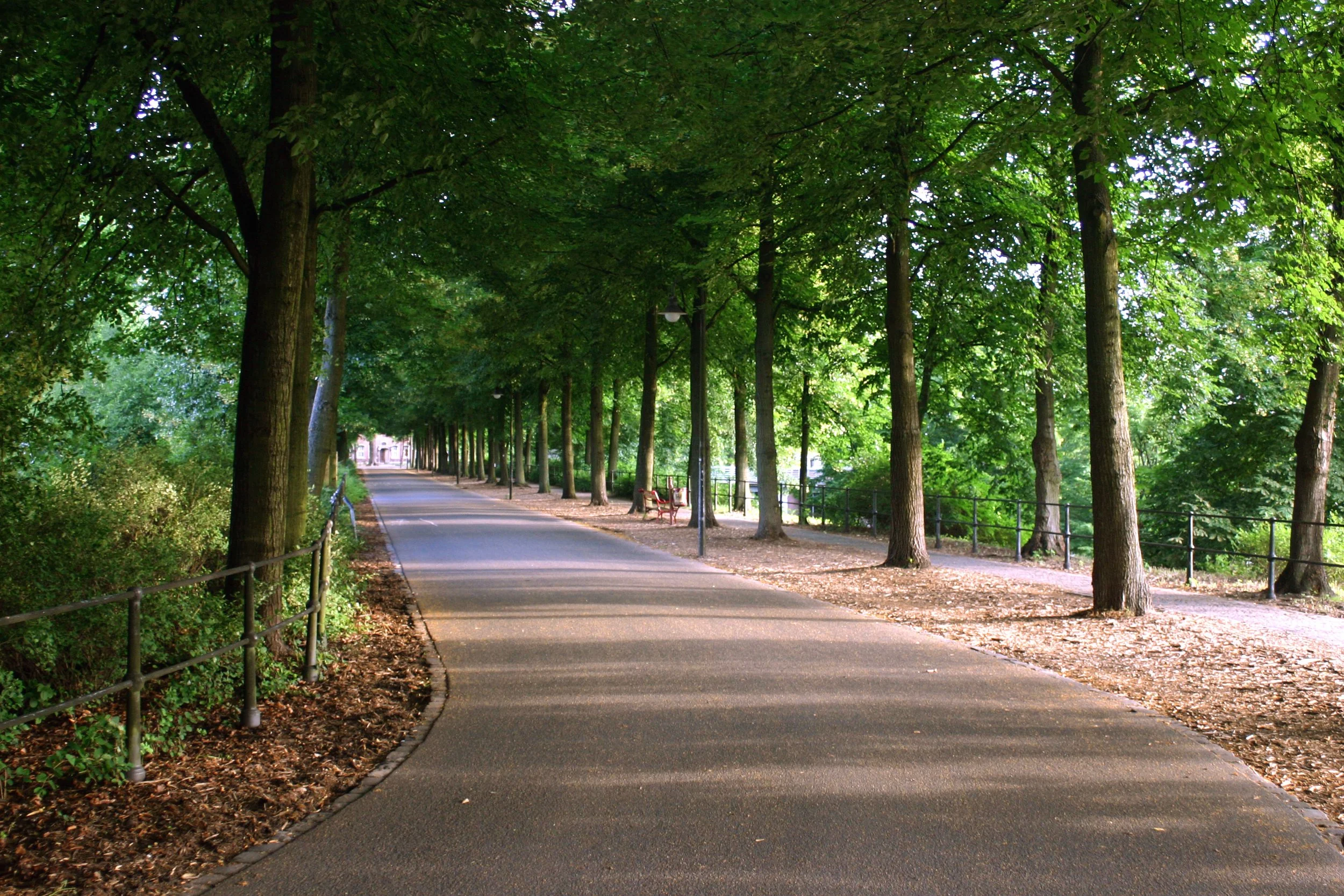 Münster Promenade at Aasee (Aa Lake)