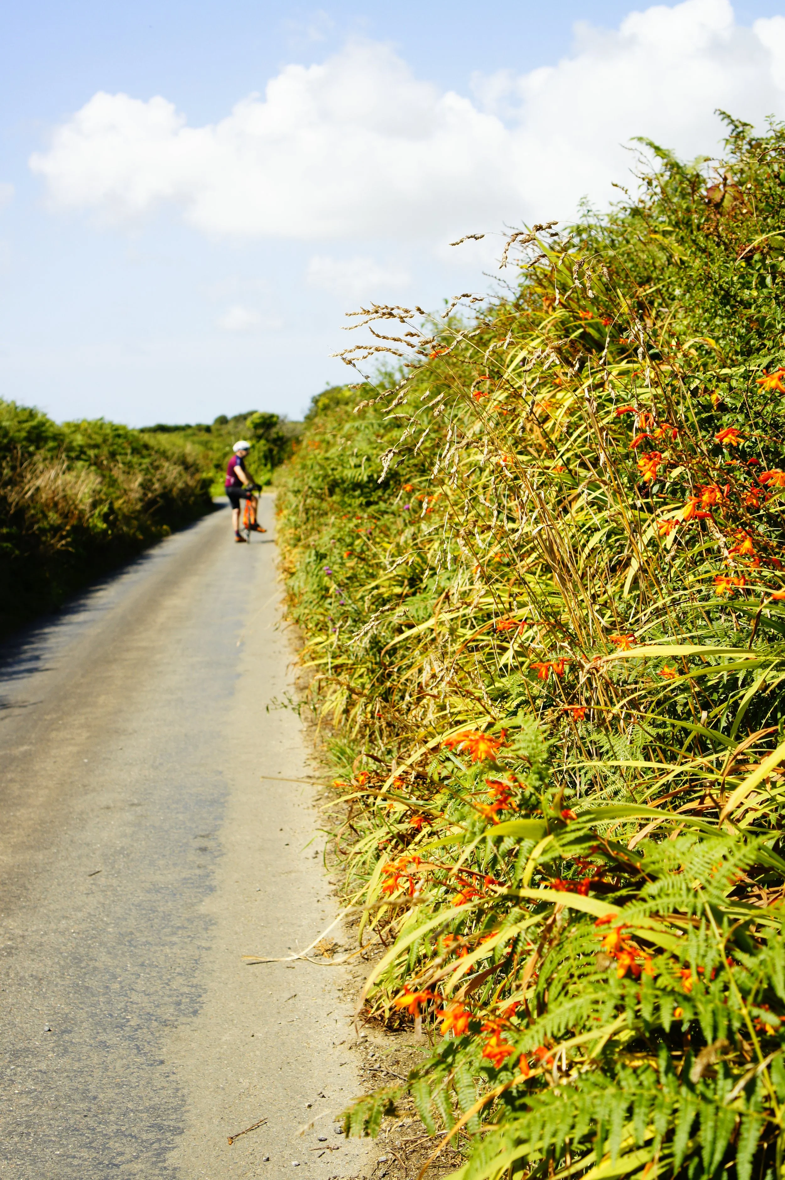 What is the road cycling like in West Cornwall?