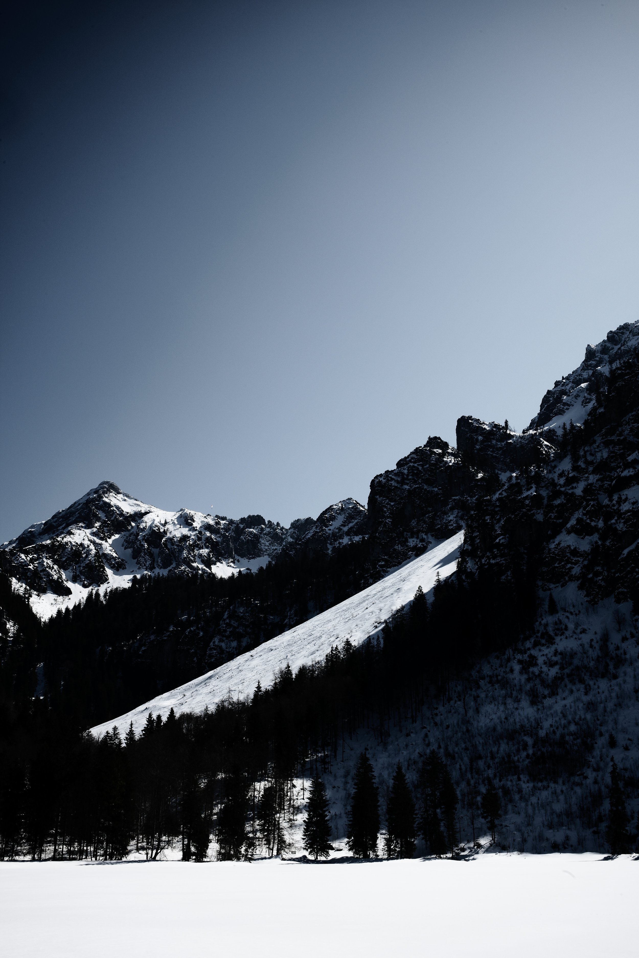Schneebedeuerte Berge mit Tannen im Vordergrund und klarem blauen Himmel