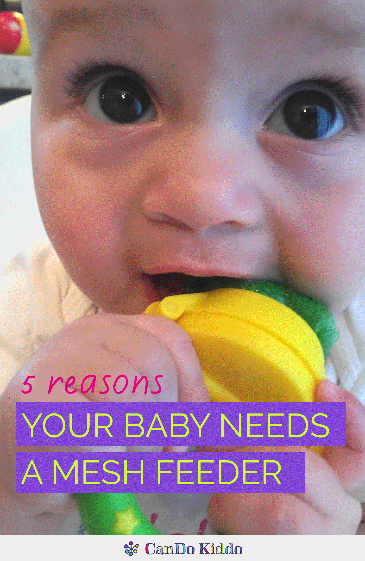 5 Reasons Your Baby Needs A Mesh Feeder