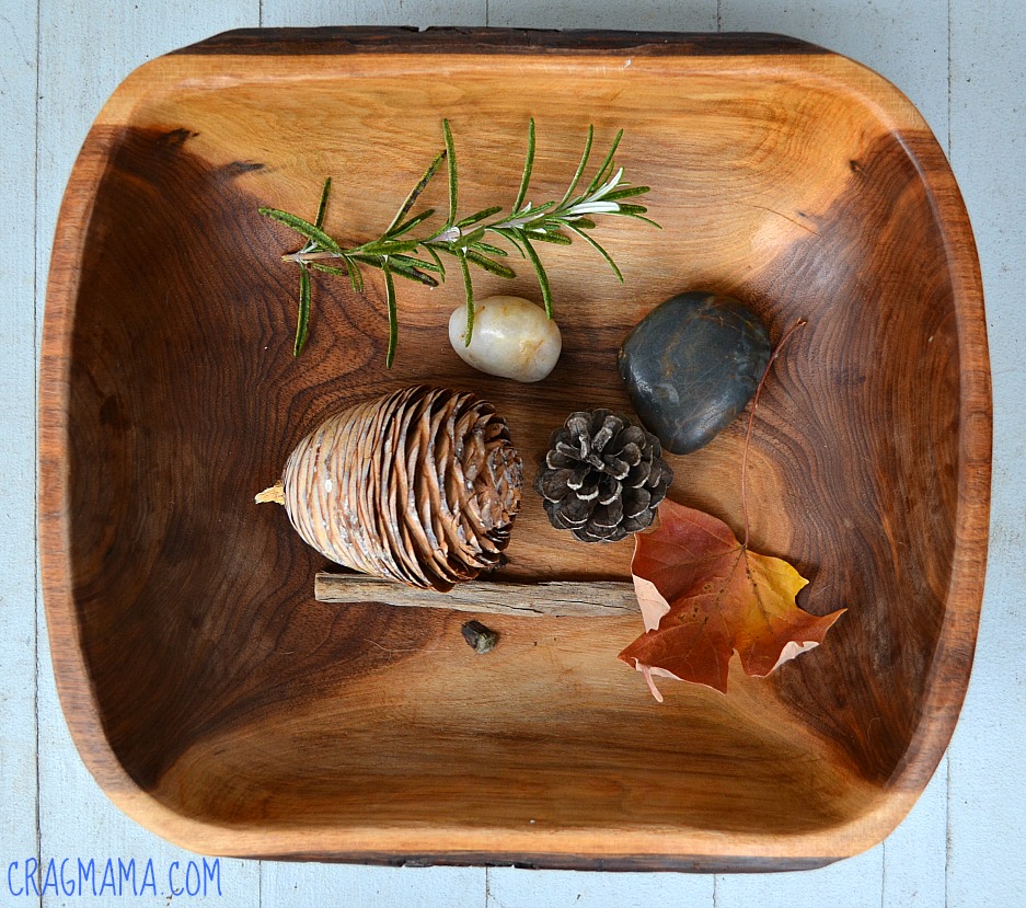 Nature Play for Babies : Safe exploration for Your Littlest Adventurers