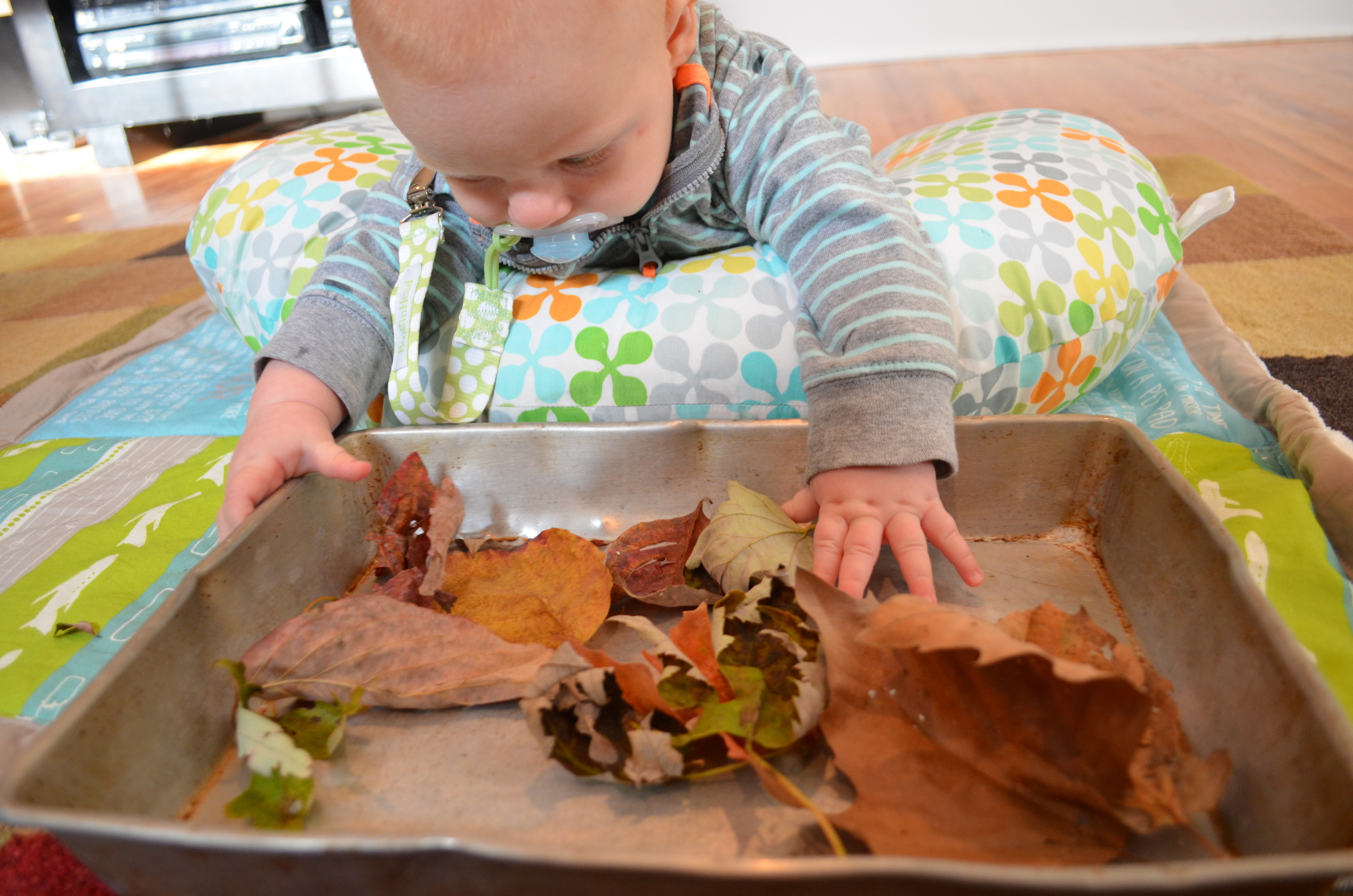 3 Ways to enjoy Fall-themed Fun with your baby