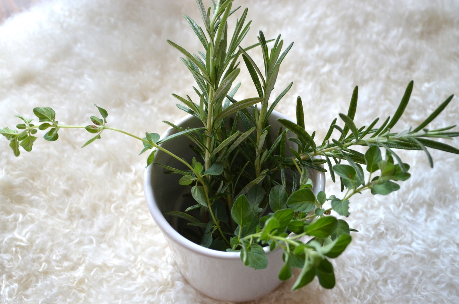 Baby Sensory Play With Smells: Touching Fresh Herbs