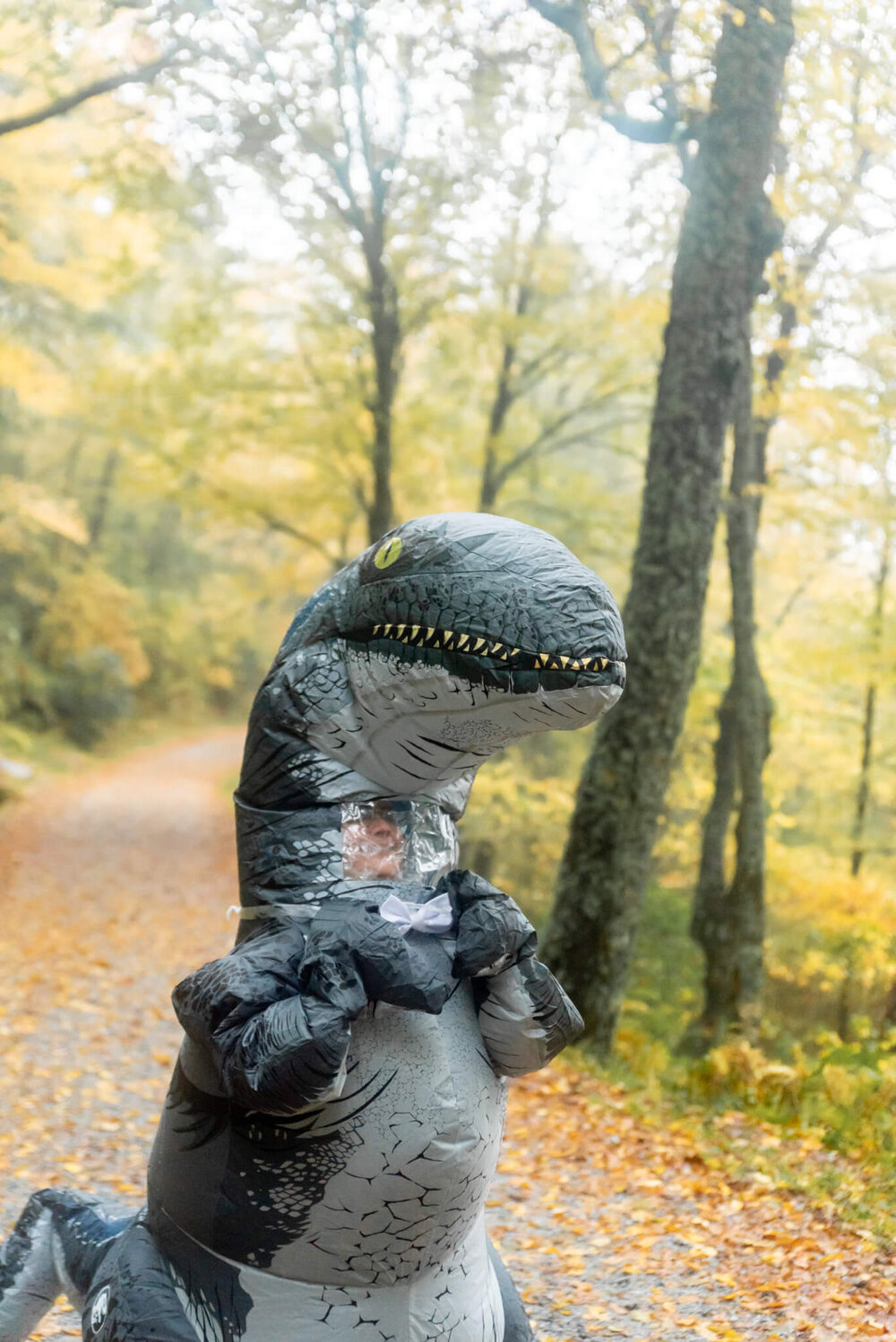 bride wearing inflatable dinosaur costume with bowtie in the fall foliage outside of asheville, nc