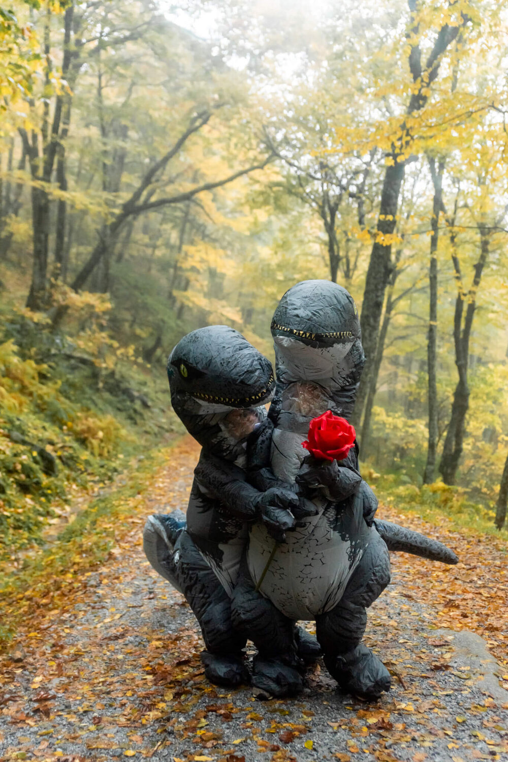 wedding couple dressed in inflatable t-rex outfits holding rose in asheville, nc at Bearwallow Mountain