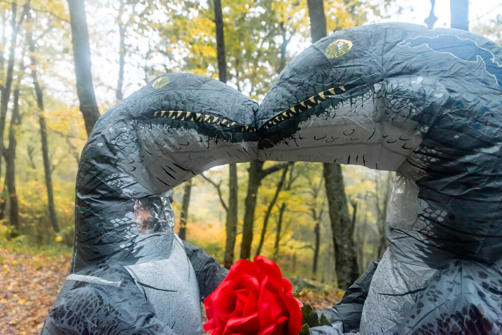 wedding couple in dinosaur costumes kissing at bearwallow mountain in asheville, nc by nick levine photography