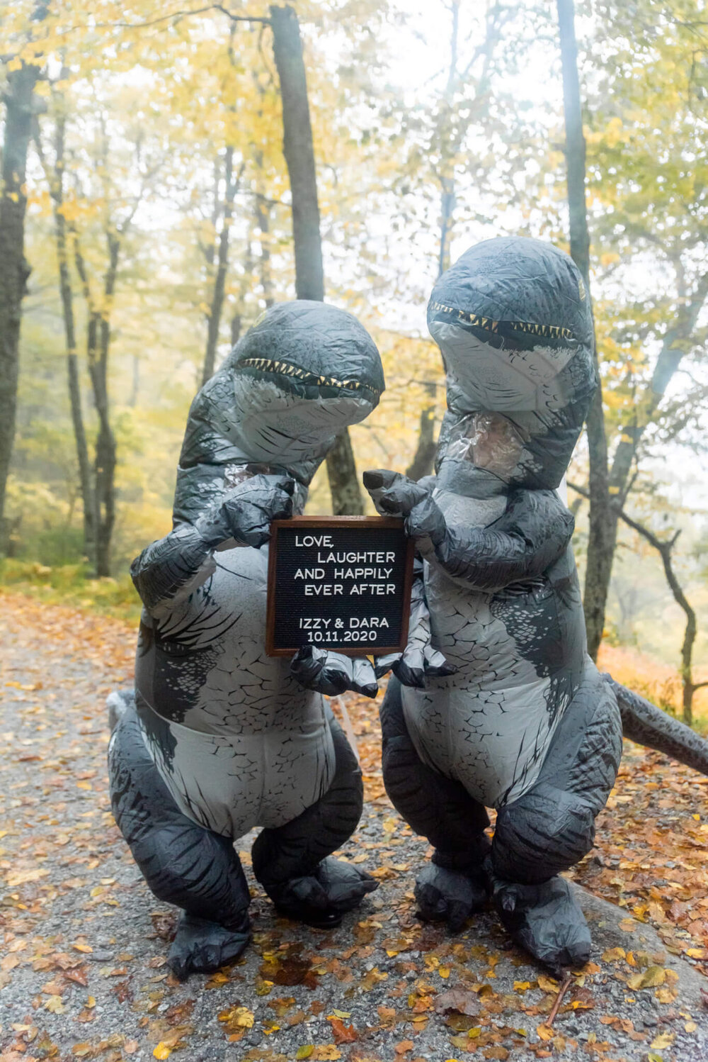 wedding elopement couple holding wedding sign dressed in inflatable dinosaur costumes in asheville, north carolina