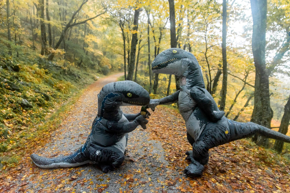 brides in dinosaur costumes with champagne at bearwallow mountain elopement wedding in asheville, nc