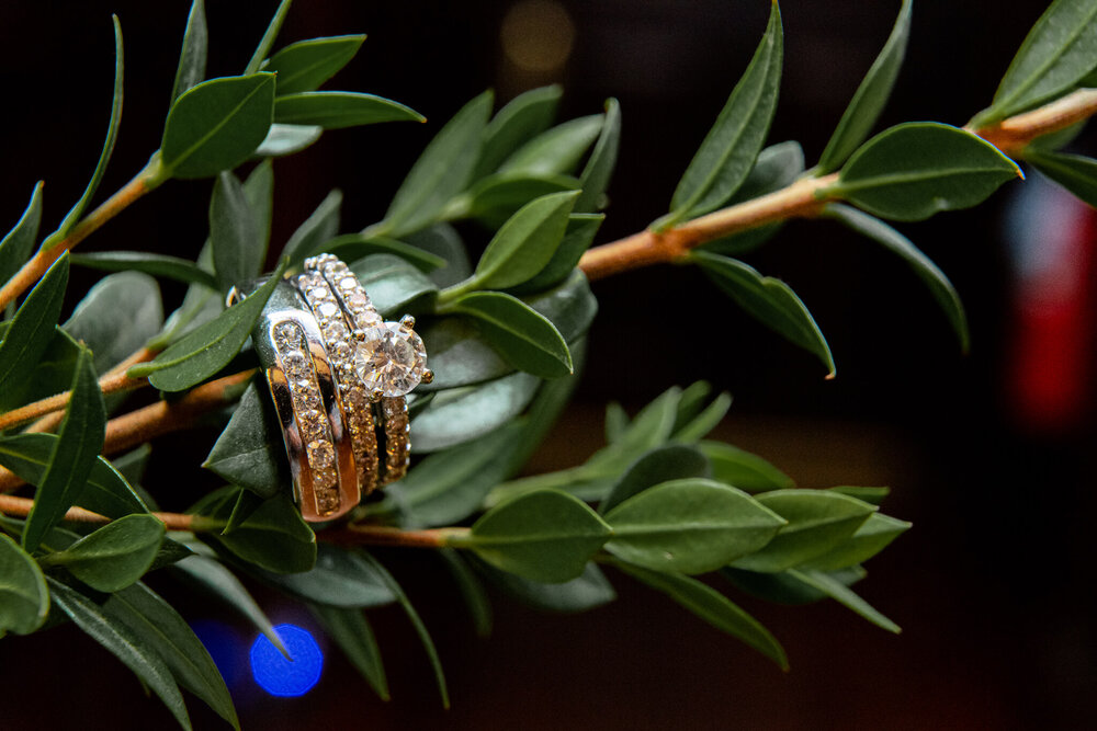wedding ring photo by nick levine photography, greenville sc wedding photographer