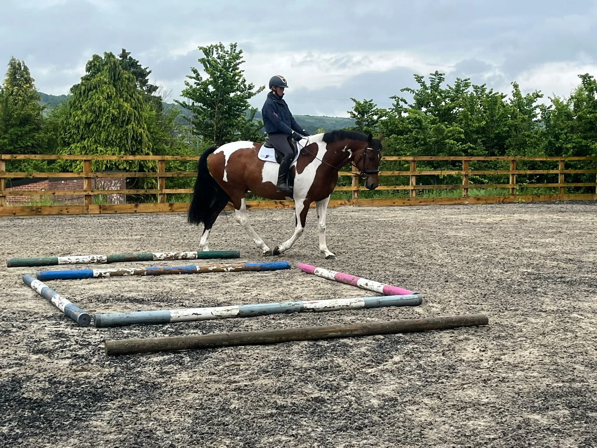 Pole Work for Posture, Performance and Partnership