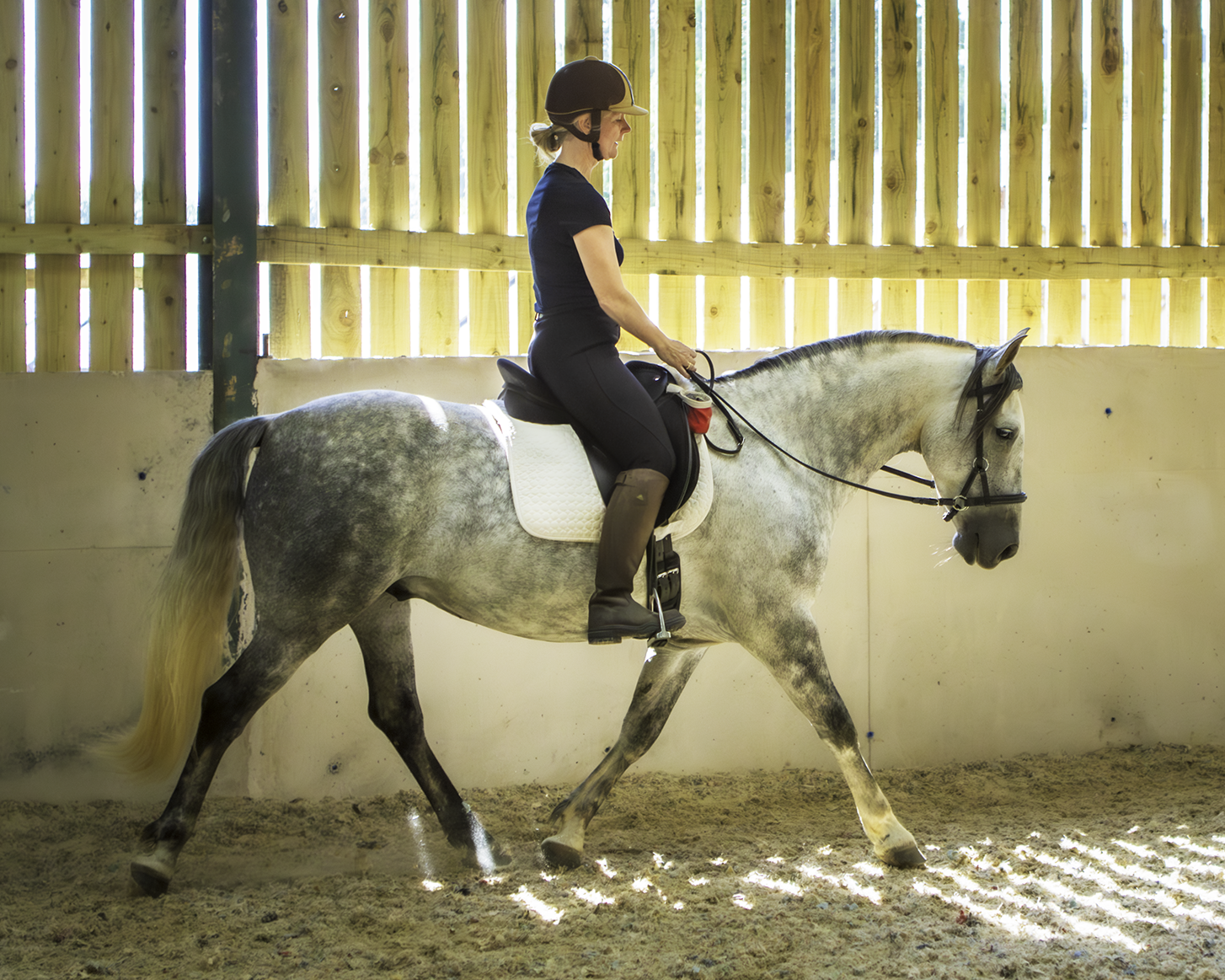 UNDERSTAND BITLESS HORSE RIDING AND TRAINING