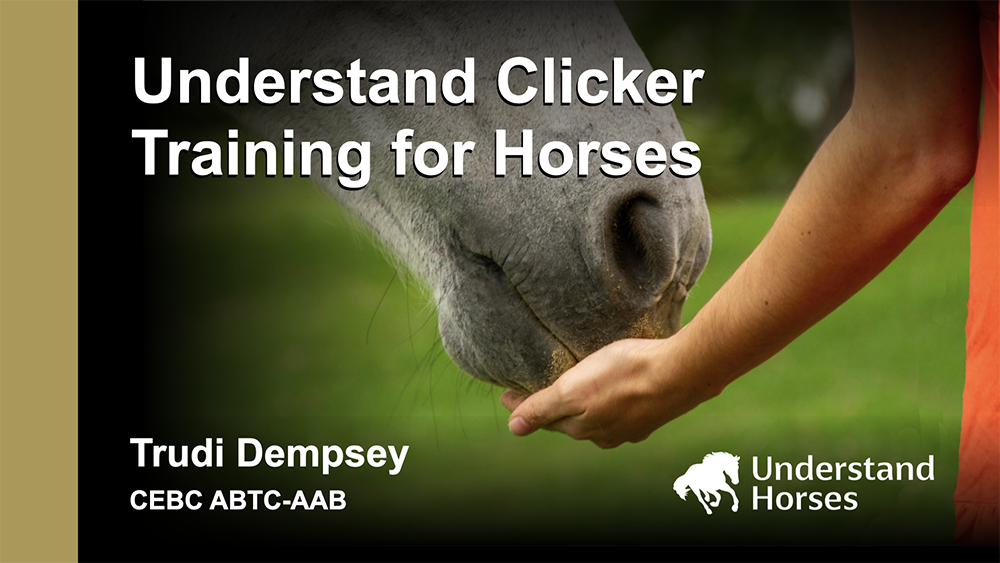 UNDERSTAND CLICKER TRAINING FOR HORSES