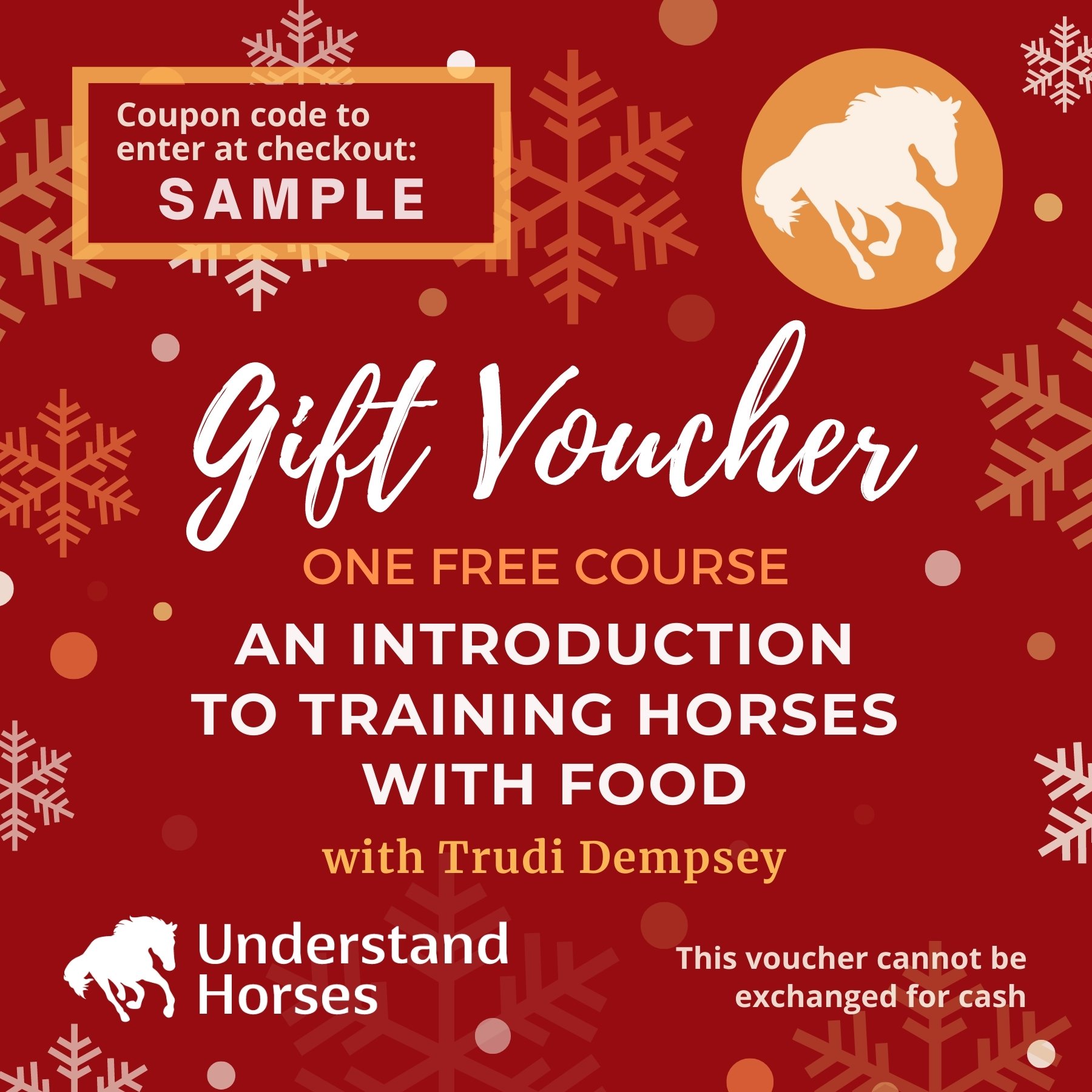 Understand Horses Gift Voucher An Introduction To Training Horses