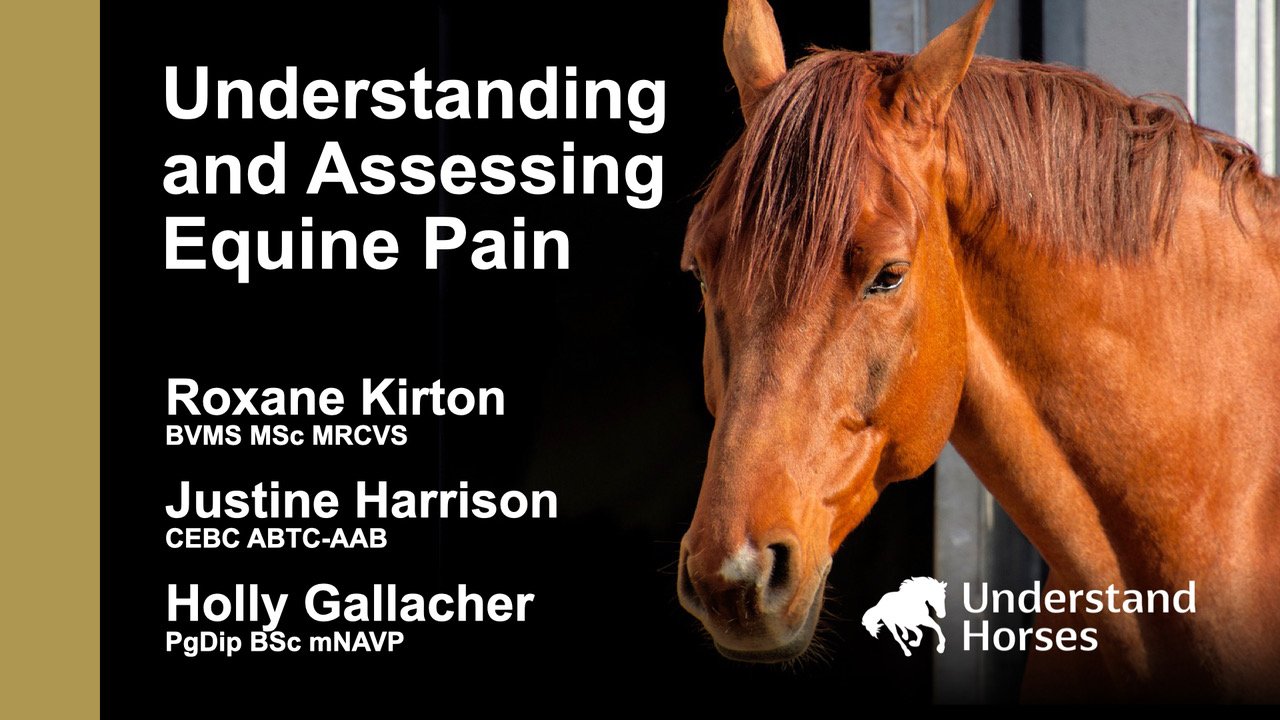 UNDERSTANDING AND ASSESSING EQUINE PAIN