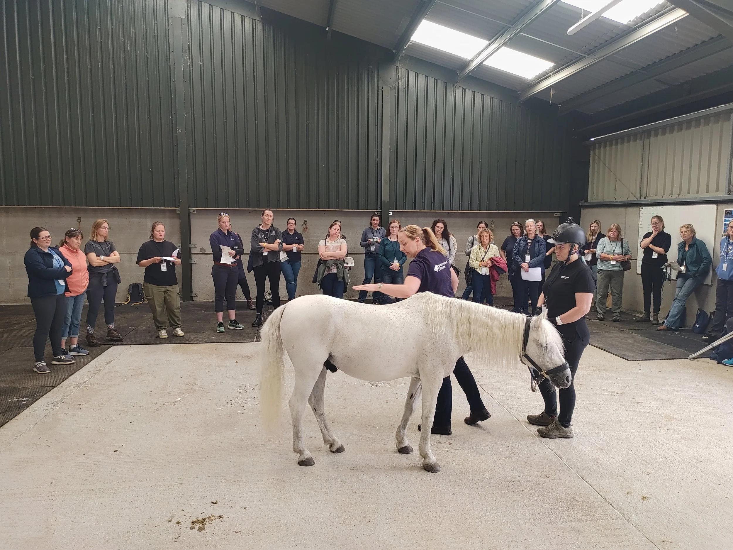 Roxane Kirton's ' The Hangry Horse: Effective Weight Management Programmes' Demo