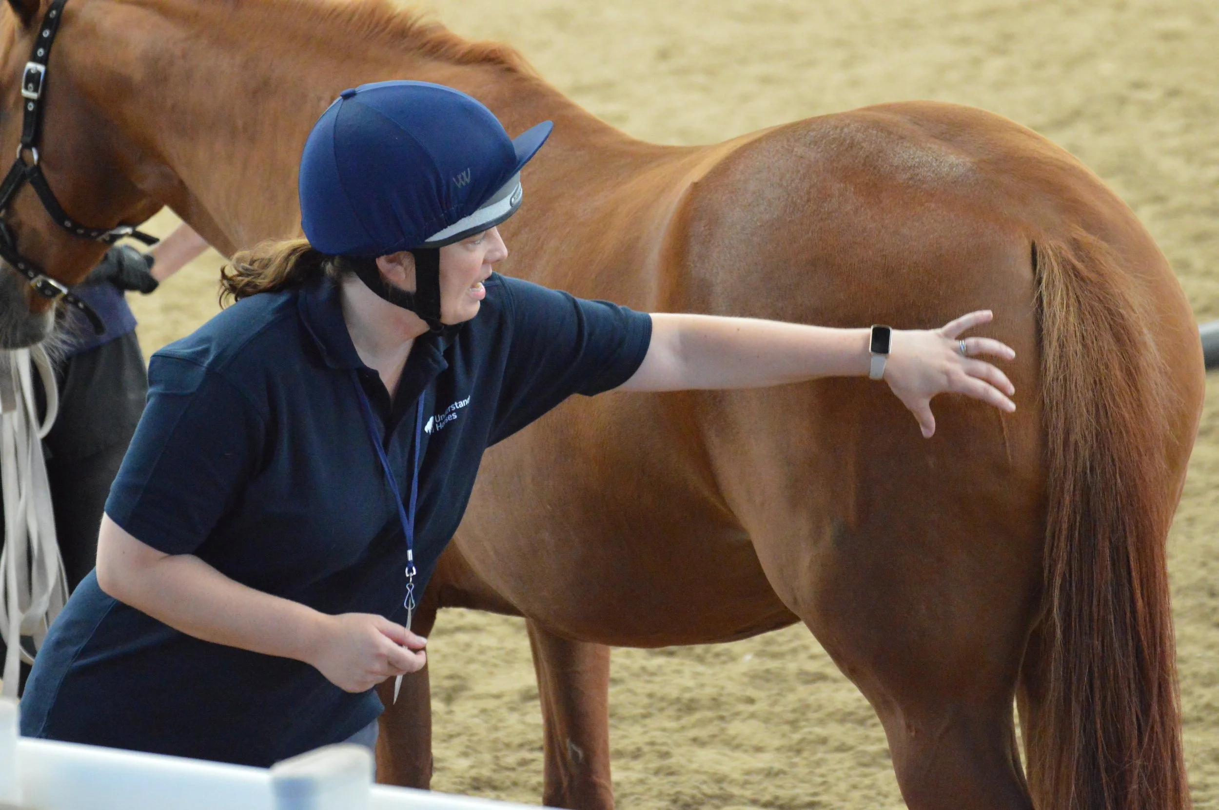 Holly Gallacher's 'A Horse's Mind in Motion' Demo