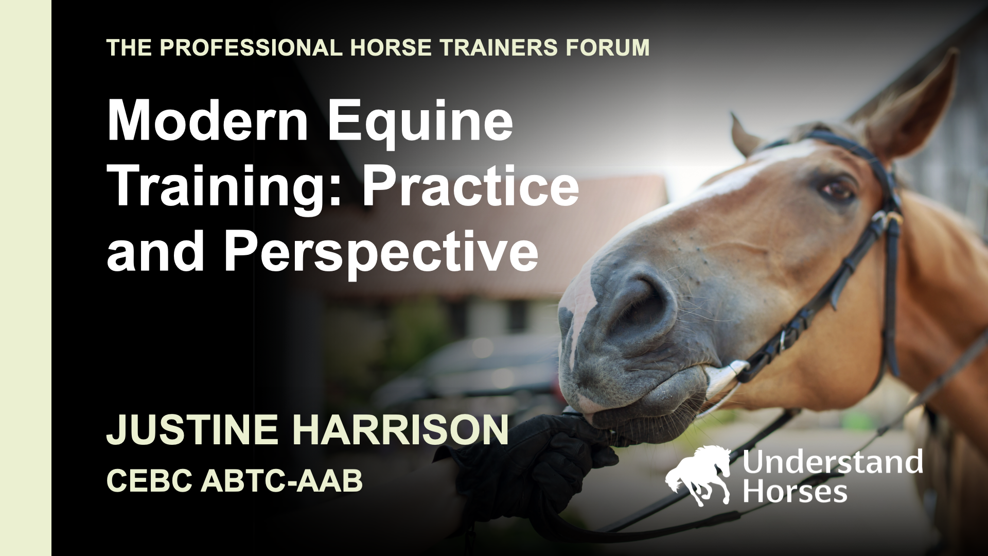 Modern Equine Training: Practice and Perspective