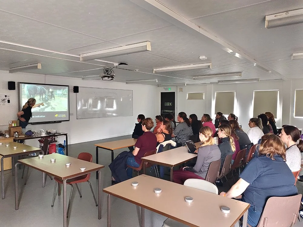 Trudi Dempsey's 'Equine Odour Detection' Workshop