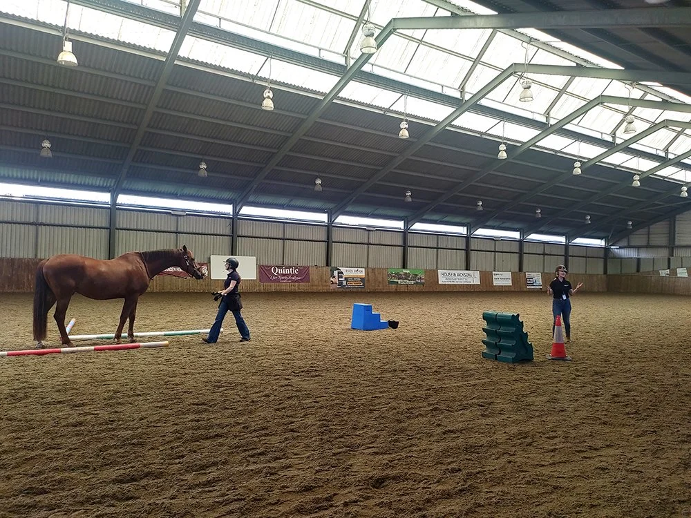 Trudi Demsey's 'Chaining, the Secret to Building Perfect Behaviours' Demo