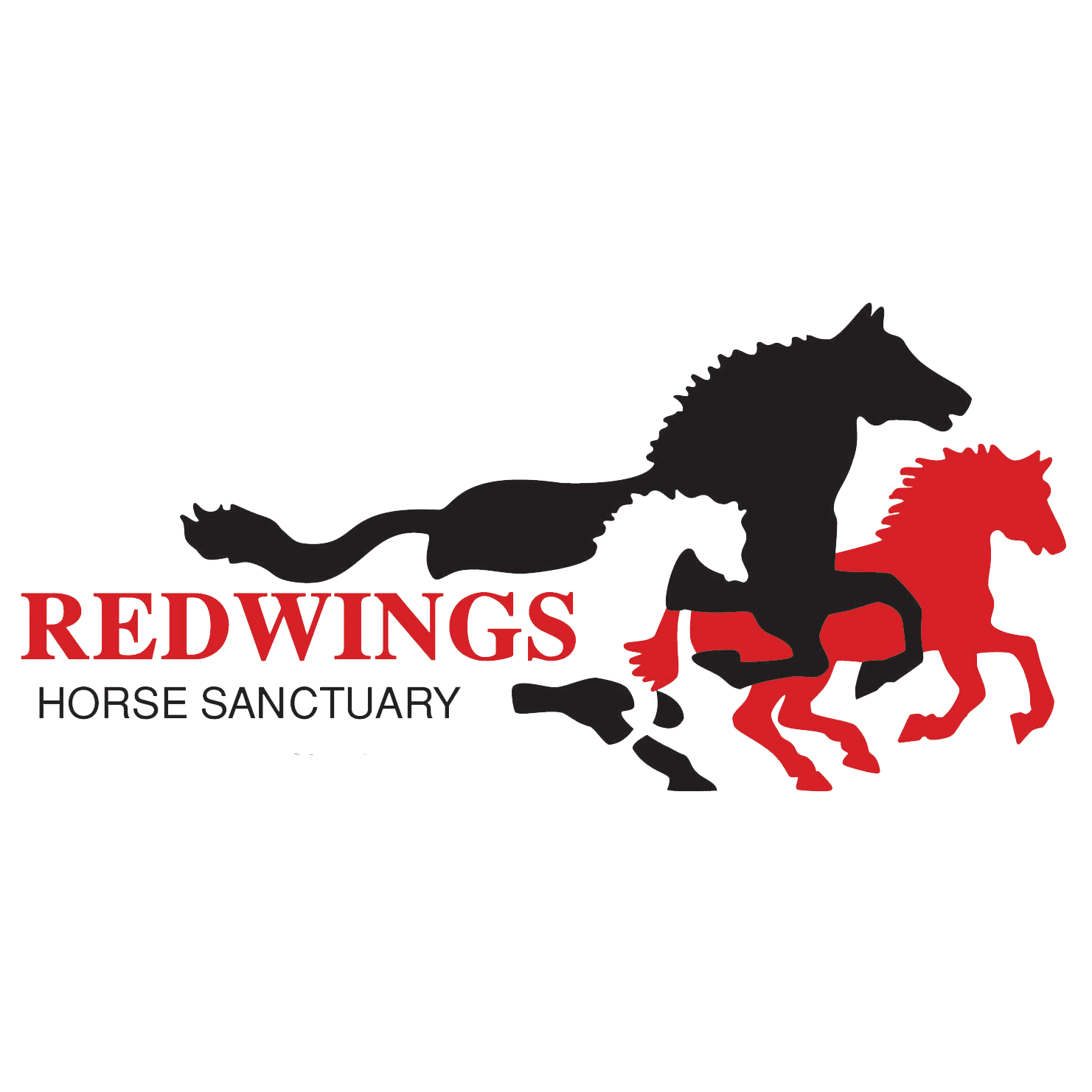 Redwings Horse Sanctuary