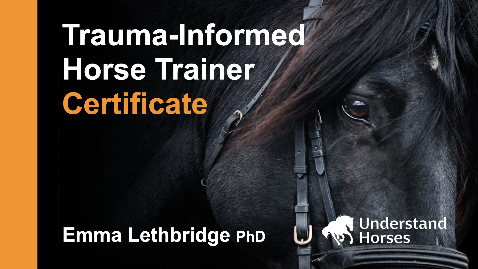 TRAUMA-INFORMED HORSE TRAINER CERTIFICATE
