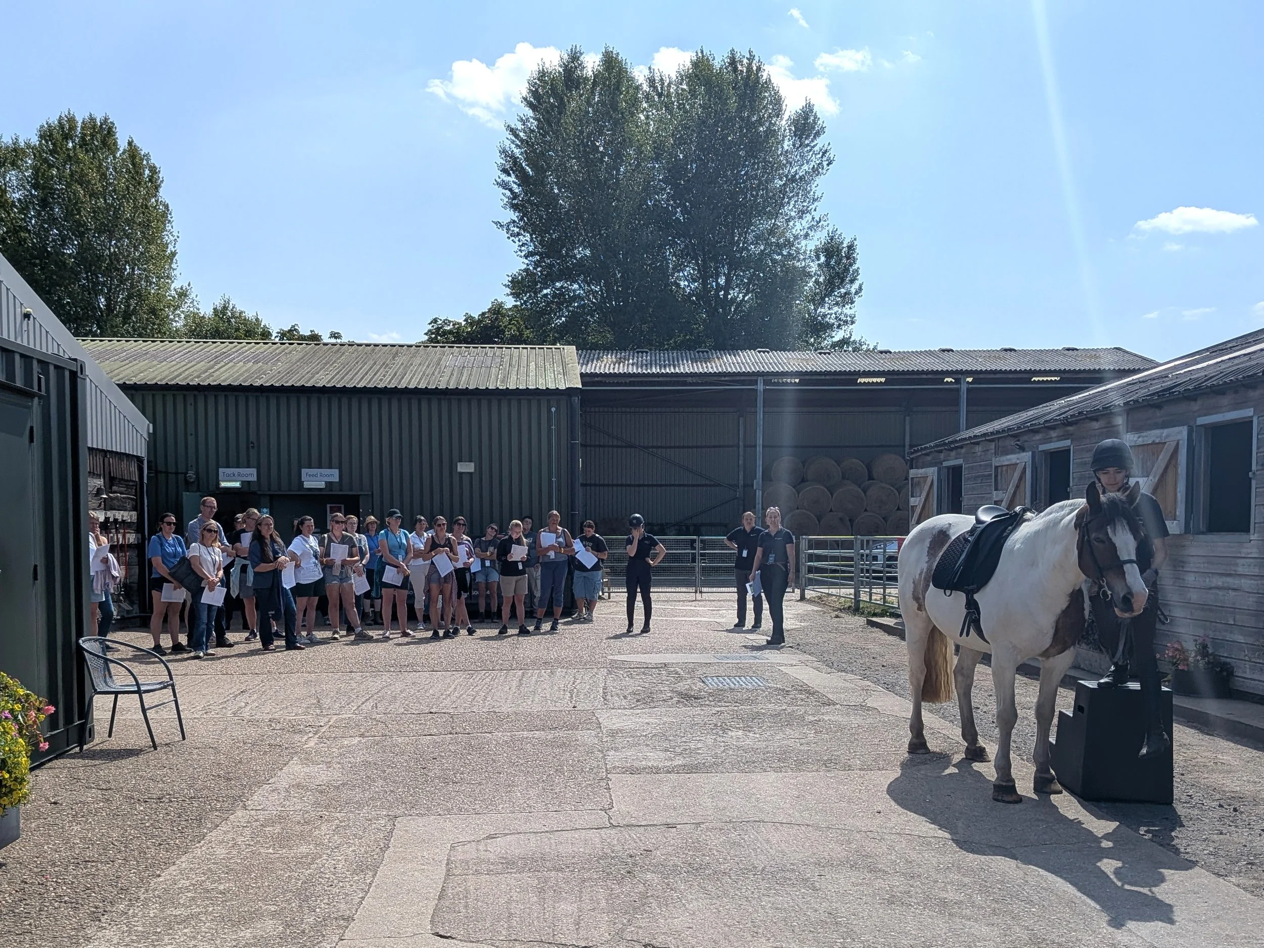 Roxan Kirton's 'Identifying Abnormal Behaviours During Tacking-up' Demo