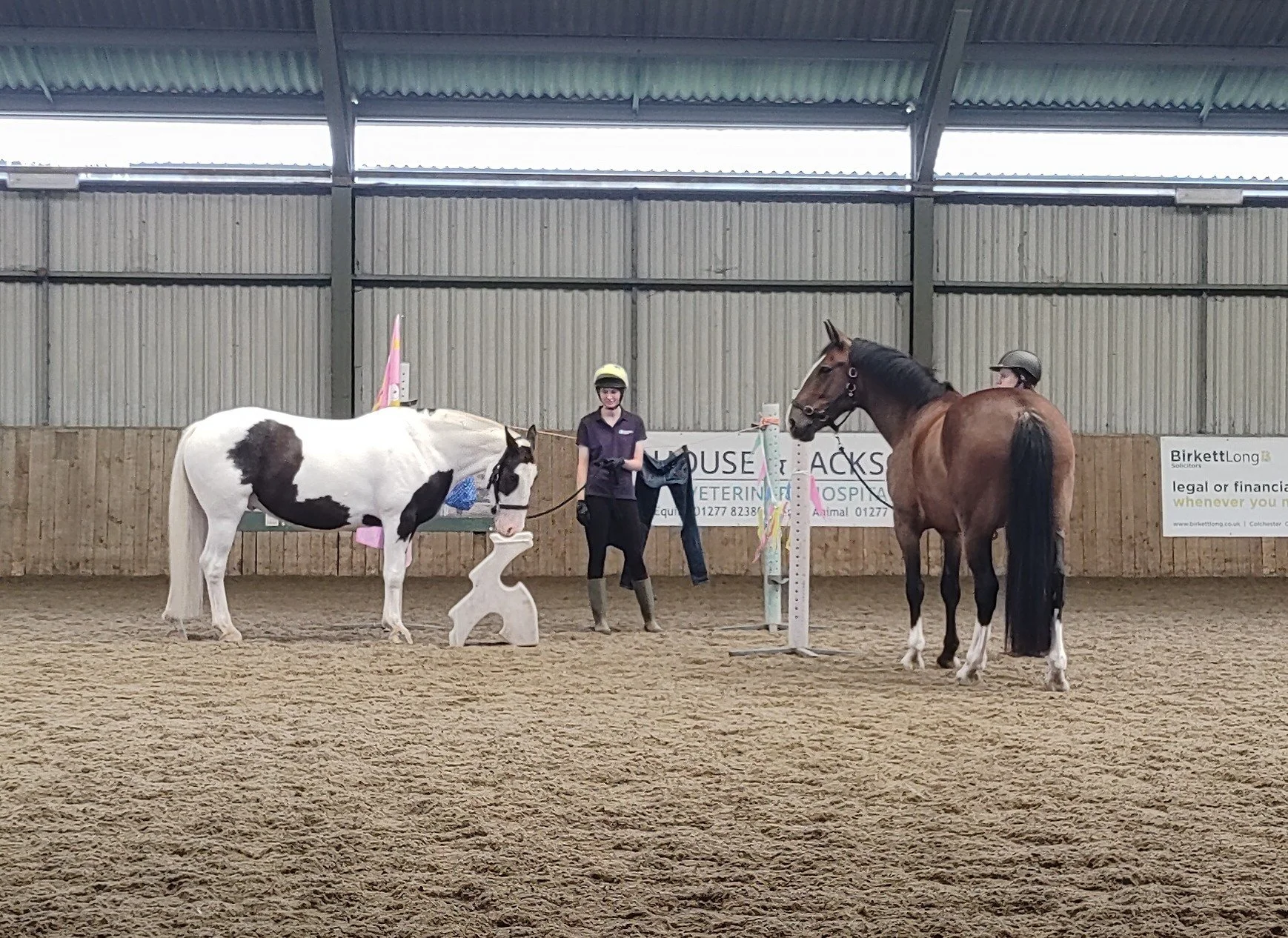 Barbra Dreyer's 'Equine Agility: For You and Your Horse' Demo