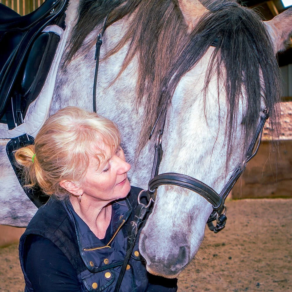 Understand Horses Understand Horses Live 2024