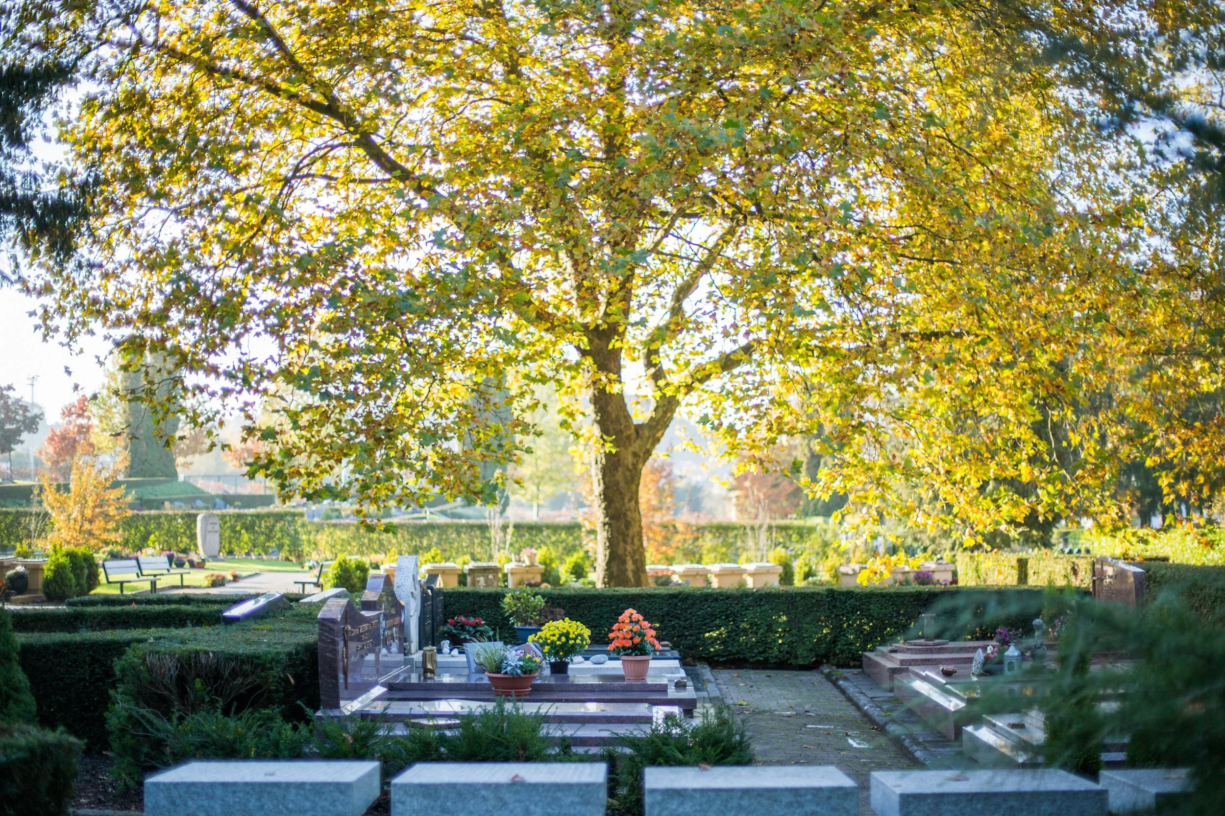 Friedhof - 161026.jpg