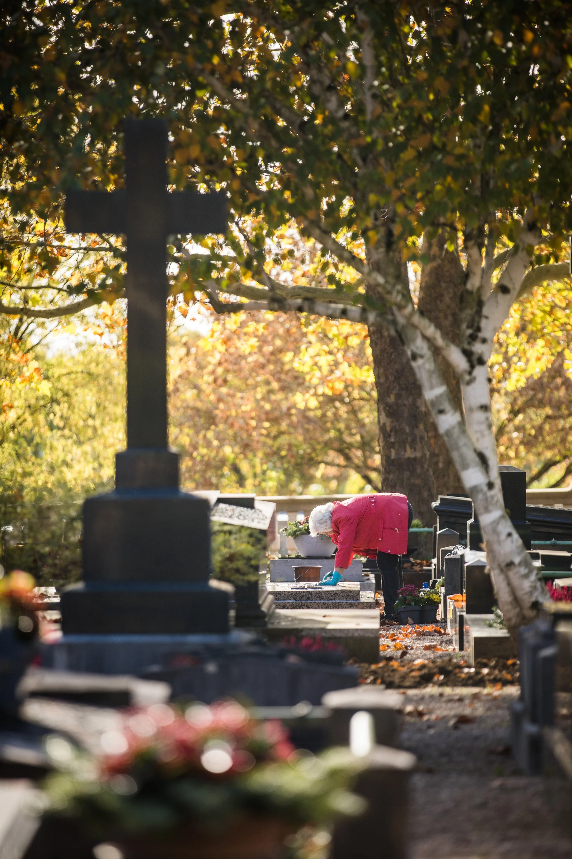 Friedhof - 191024.jpg