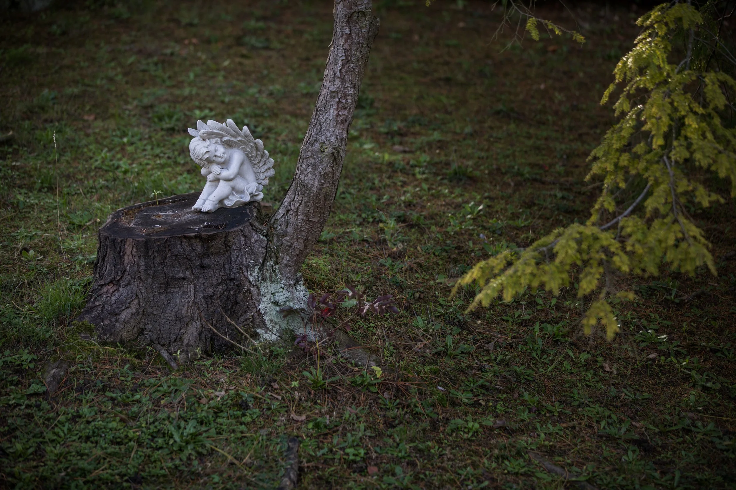 Friedhof - 191025.jpg