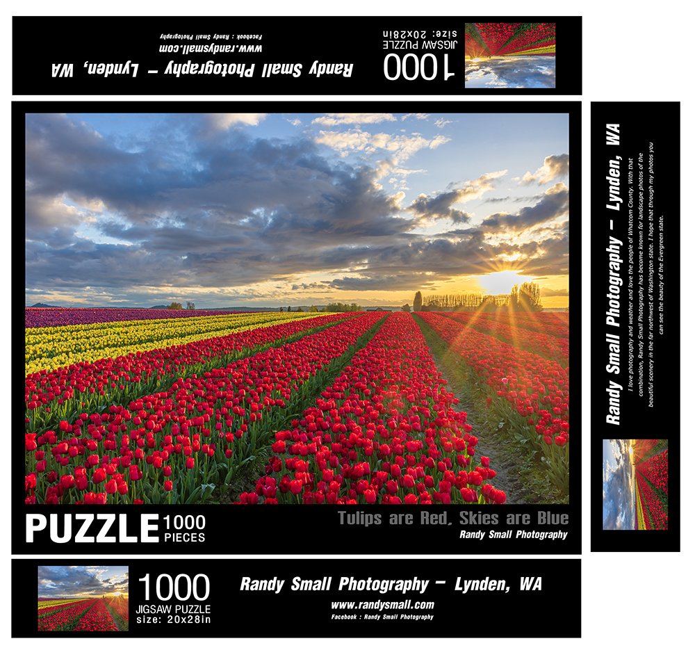 Tulips-are-Red,-Skies-are-Blue-BOX1000-20x28-FLAT1.jpg
