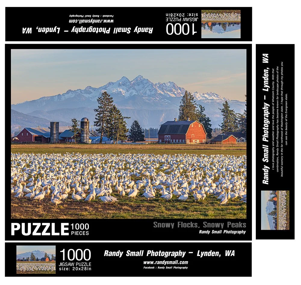 Snowy-Flocks,-Snowy-Peaks-BOX1000-20x28-FLAT1.jpg
