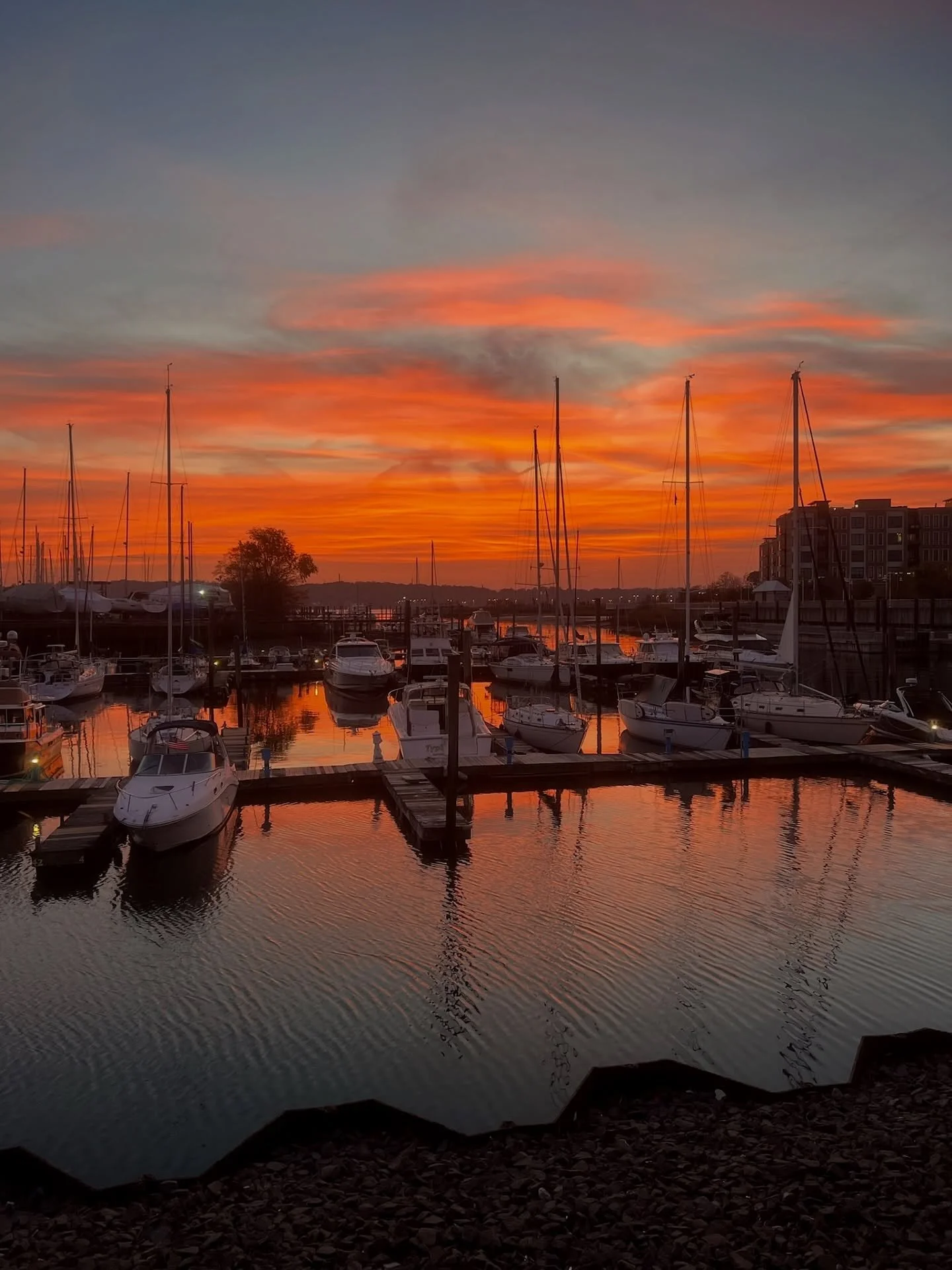 Sip, savor, and soak in the view! Nothing beats a sunset dinner by the water at The Cove. 🌅 
 📍74 Shore Rd, Glen Cove, NY
📞516-676-1211
📧 info@thecoveny.com
🌊Open Wed-Sun
OPEN ALL YEAR • WEEKDAY HAPPY HOUR, TAPAS & PRIX-FIXE MENU &bul