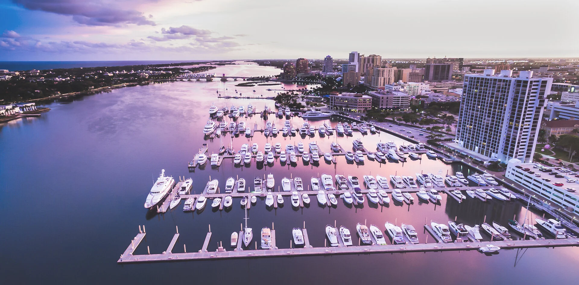 Financial Advisors in Palm Harbor FL.jpg