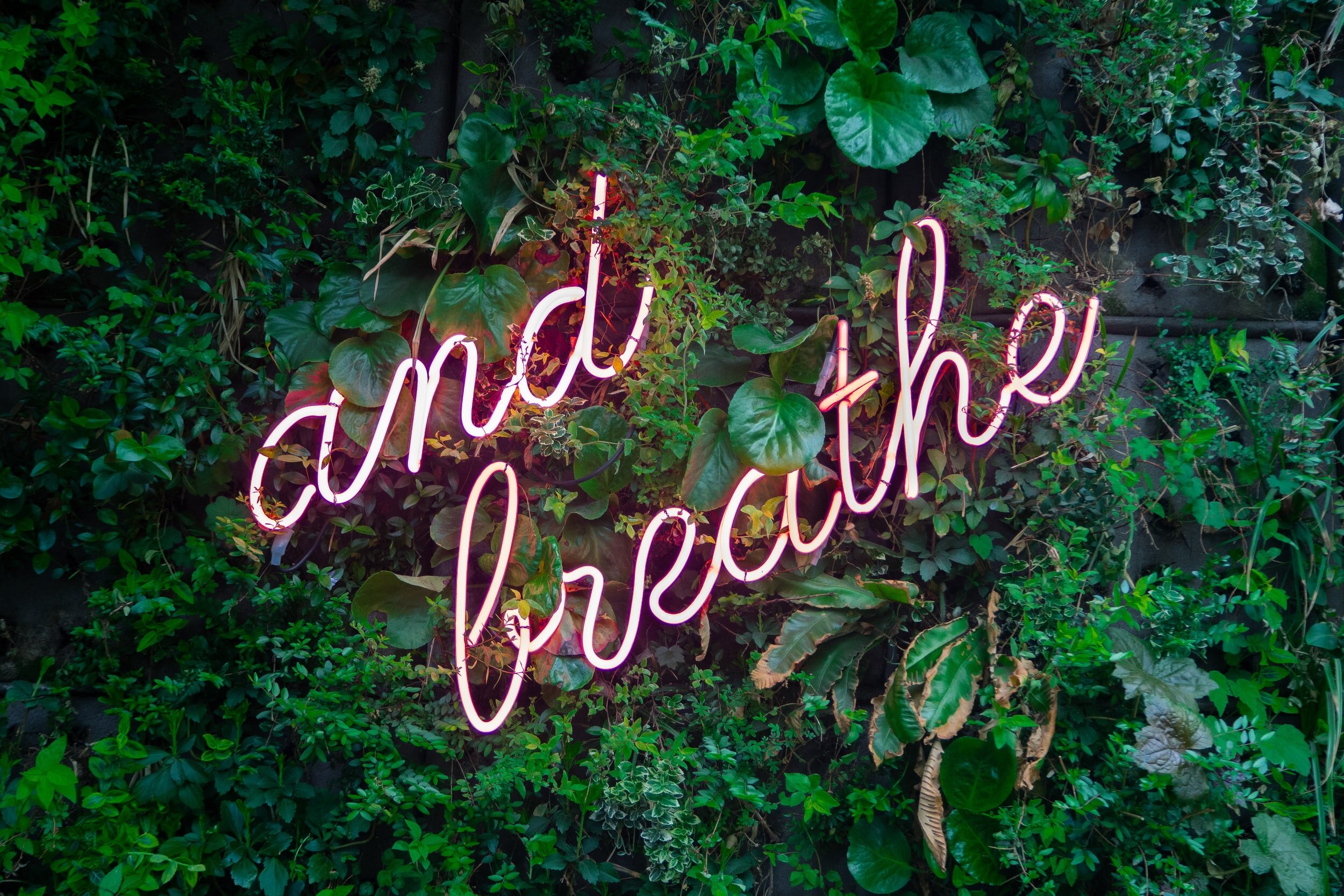 unsplash-image-buymYm3RQ3U.jpg