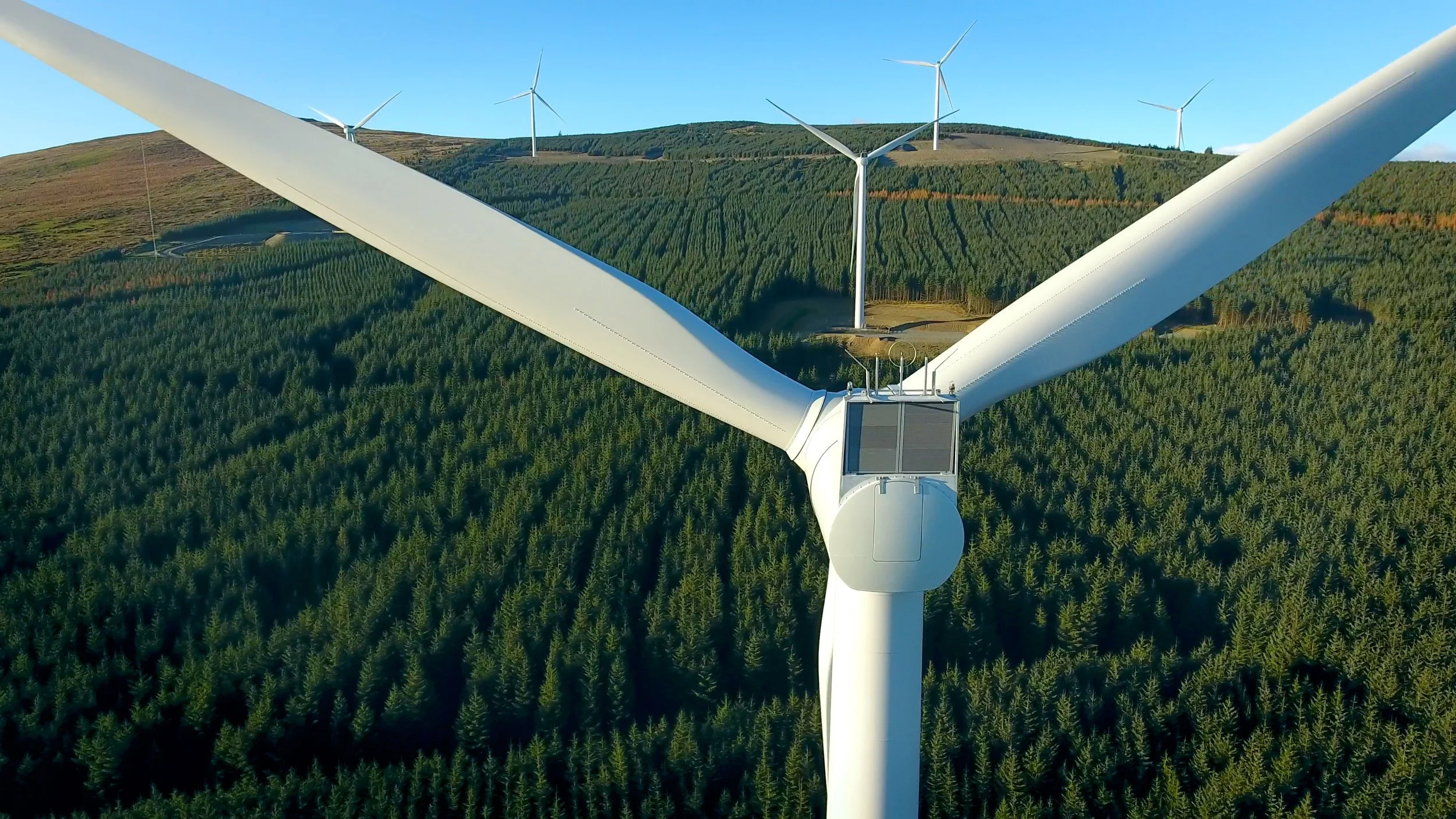 Additional Information Submitted