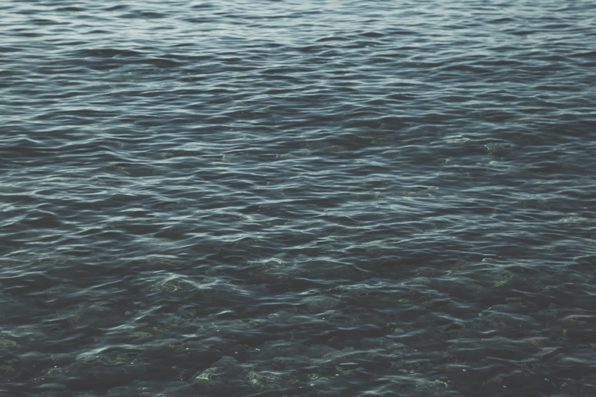 Detalle_Mediterráneo