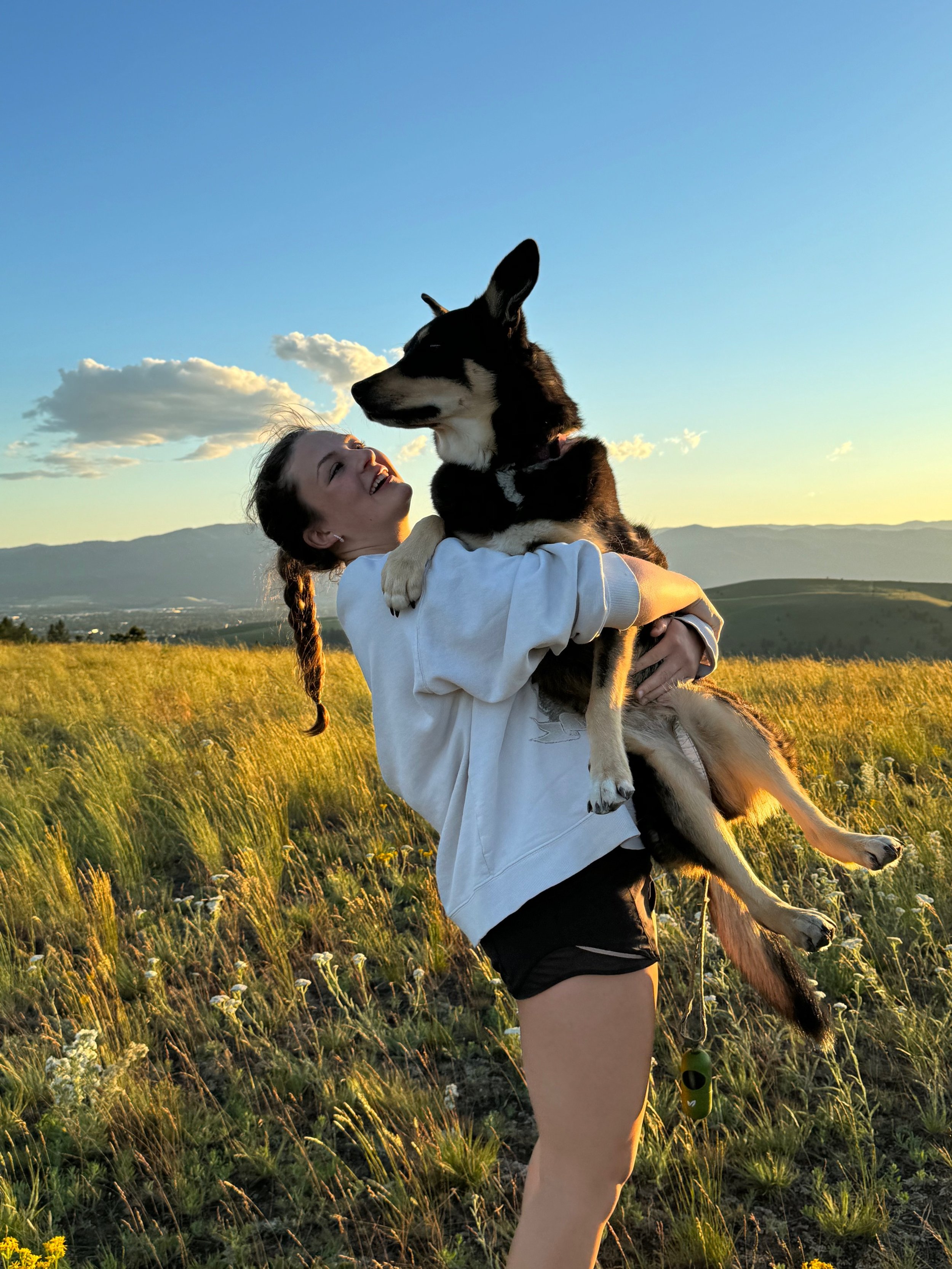 Person holding a large dog in a grassy field during sunset, both looking happy. Mountains and a blue sky with scattered clouds in the background.