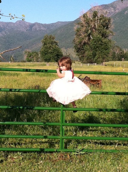 Young girl in a white dress sitting on a green metal fence in a grassy field with trees and mountains in the background on a sunny day.