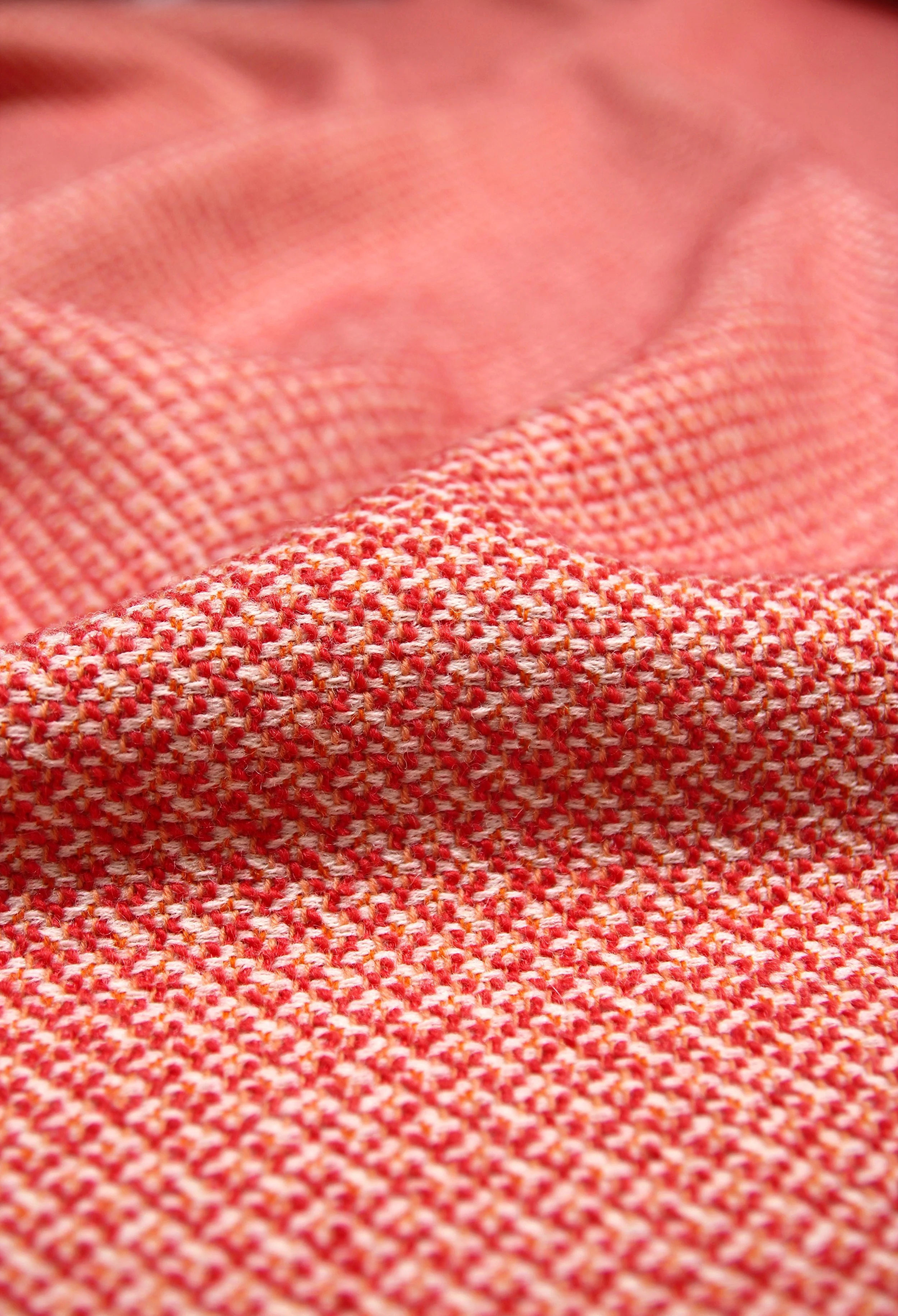 rohi_CLEO_passion (3).JPG