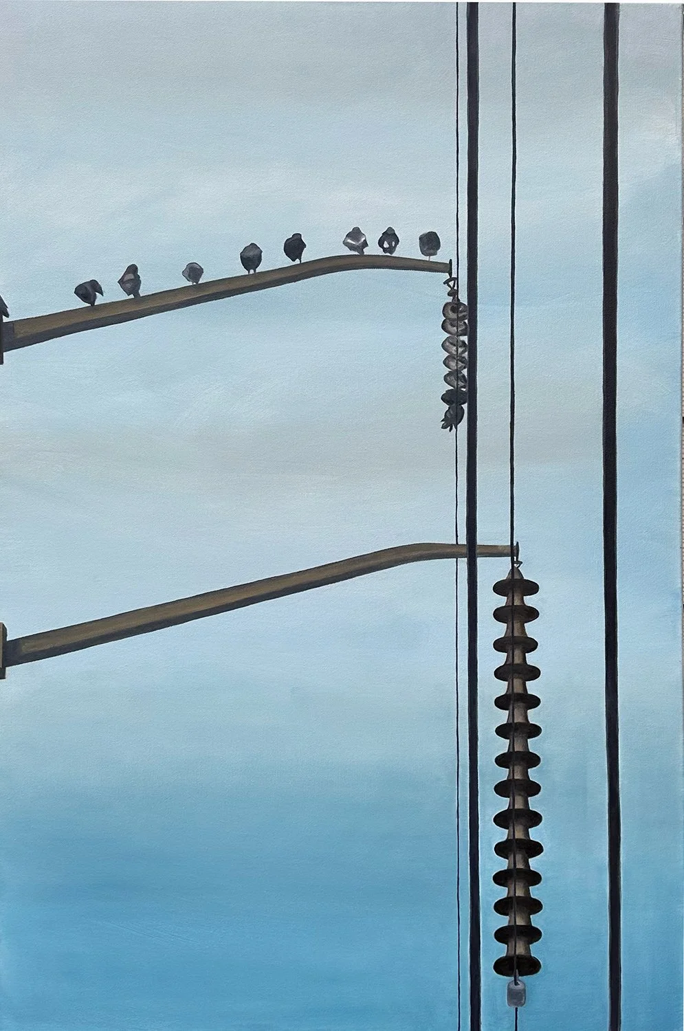Bird on a Wire, Candler Park, December 4 2023, 7:54AM, Oil on Canvas, 24" x 36", 2024
