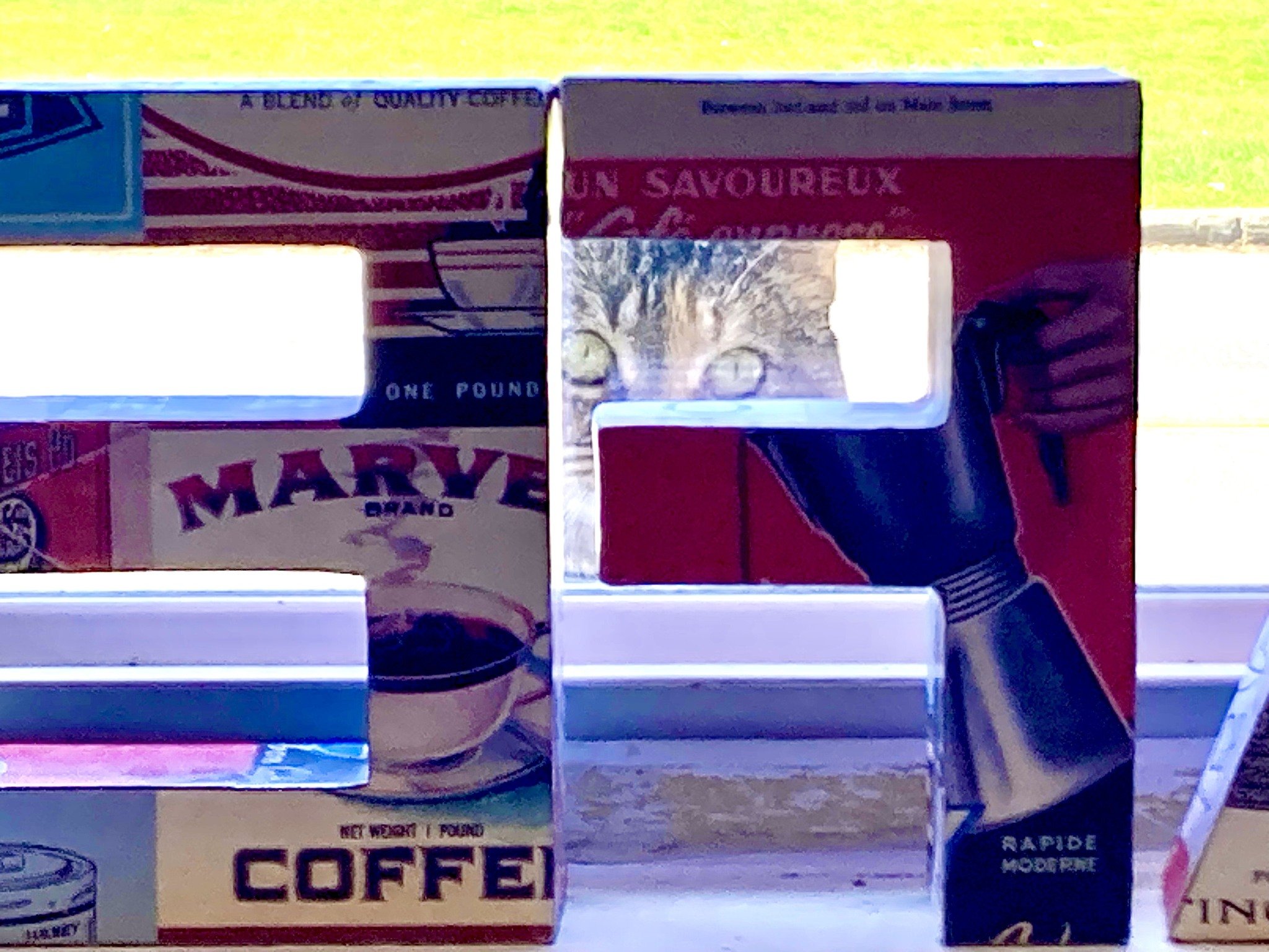 This neighborhood cat knows where all the action is! (Benji's Coffee Shop) and wants to be the next model for JAMBS' advertising campaign. 😻 #jambscoffee #coffeeshop #smallcommunity